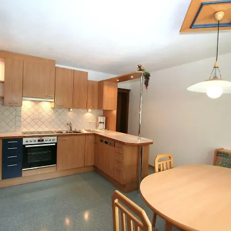 公寓 Apartment Finkenberg 弗林肯贝格